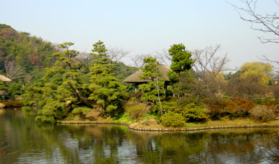 Sankeien Garden, en helt ovidkommande men närliggande japansk trädgård.